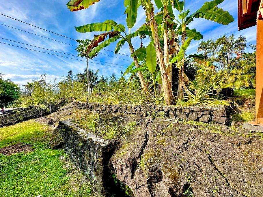 Puna Zen Botanical Garden Retreat Keaau Extérieur photo