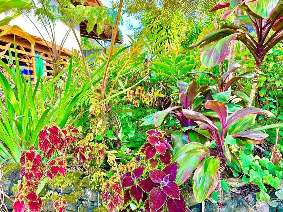 Puna Zen Botanical Garden Retreat Keaau Extérieur photo